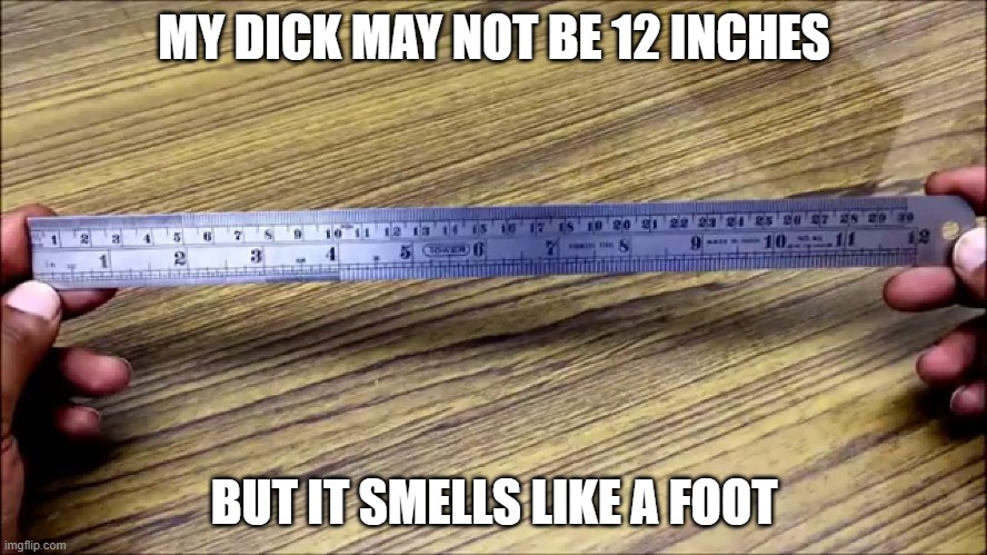 one ruler | MY DICK MAY NOT BE 12 INCHES; BUT IT SMELLS LIKE A FOOT | image tagged in dirty,nsfw,dick jokes | made w/ Imgflip meme maker