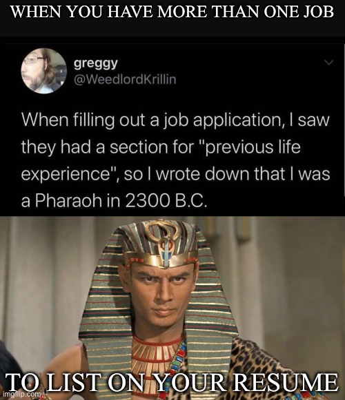 List your previous life experience | WHEN YOU HAVE MORE THAN ONE JOB; TO LIST ON YOUR RESUME | image tagged in pharoah,past life pete,resume,work,history | made w/ Imgflip meme maker