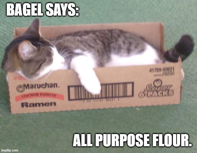 Bagel. | BAGEL SAYS:; ALL PURPOSE FLOUR. | image tagged in bagel,flour,nothing | made w/ Imgflip meme maker
