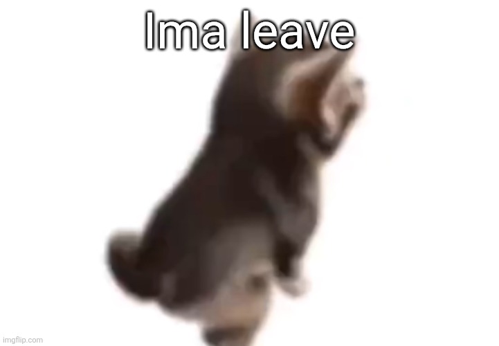 Side el gatito | Ima leave | image tagged in side el gatito | made w/ Imgflip meme maker