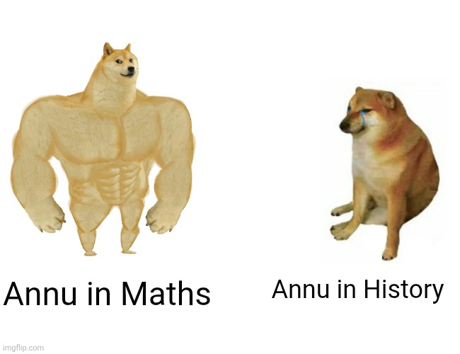 Buff Doge vs. Cheems | Annu in History; Annu in Maths | image tagged in memes,buff doge vs cheems | made w/ Imgflip meme maker