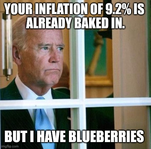 YOUR INFLATION OF 9.2% IS 
 ALREADY BAKED IN. BUT I HAVE BLUEBERRIES | image tagged in sad joe biden | made w/ Imgflip meme maker