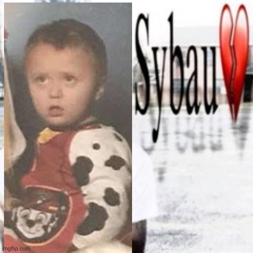 Sybau | image tagged in sybau | made w/ Imgflip meme maker
