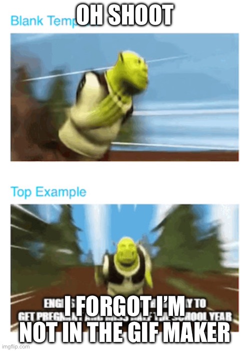 ACCIDENT | OH SHOOT; I FORGOT I’M NOT IN THE GIF MAKER | image tagged in two running shreks,error,mistake,accident | made w/ Imgflip meme maker