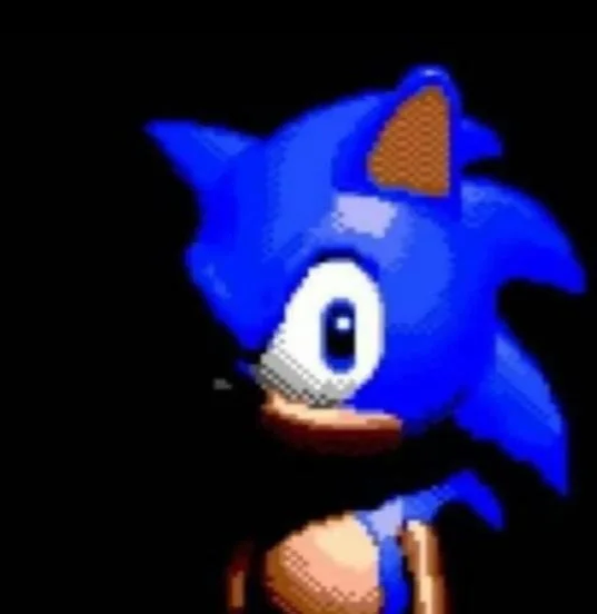 sonic staring Blank Meme Template