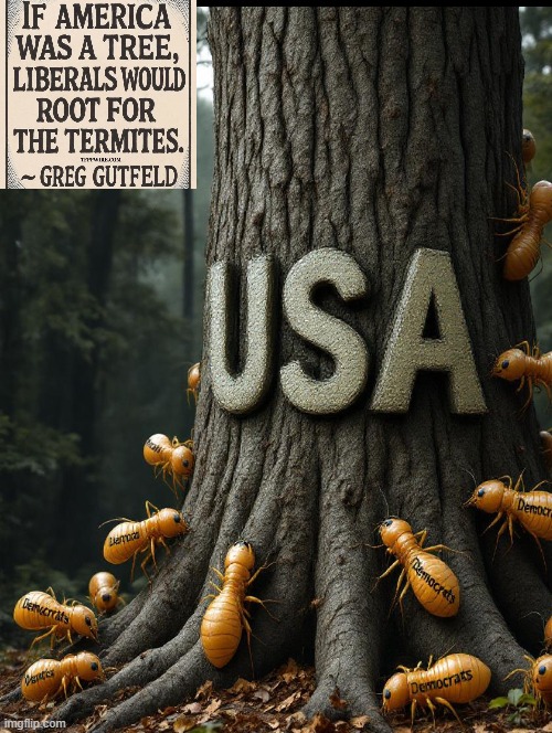 Rooting for the termites, with love, Democrats | image tagged in losers,sam elliott special kind of stupid | made w/ Imgflip meme maker