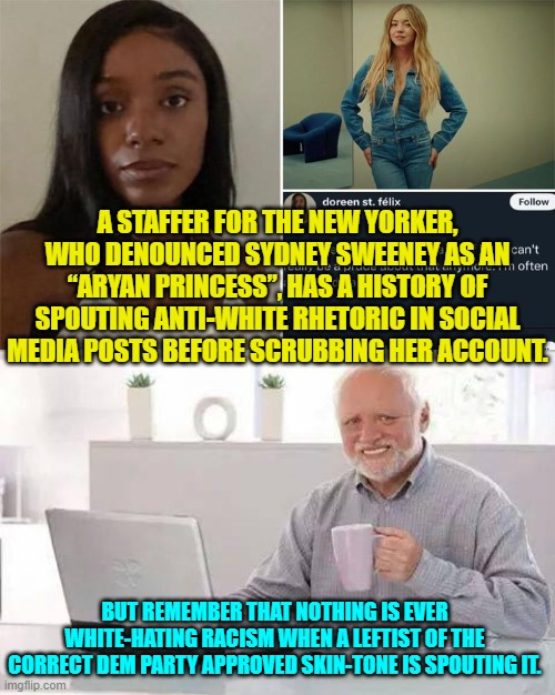 Only conservatives can be racist.  Apparently somehow the Left got that passed into law. | A STAFFER FOR THE NEW YORKER, WHO DENOUNCED SYDNEY SWEENEY AS AN “ARYAN PRINCESS”, HAS A HISTORY OF SPOUTING ANTI-WHITE RHETORIC IN SOCIAL MEDIA POSTS BEFORE SCRUBBING HER ACCOUNT. BUT REMEMBER THAT NOTHING IS EVER WHITE-HATING RACISM WHEN A LEFTIST OF THE CORRECT DEM PARTY APPROVED SKIN-TONE IS SPOUTING IT. | image tagged in hide the pain harold | made w/ Imgflip meme maker