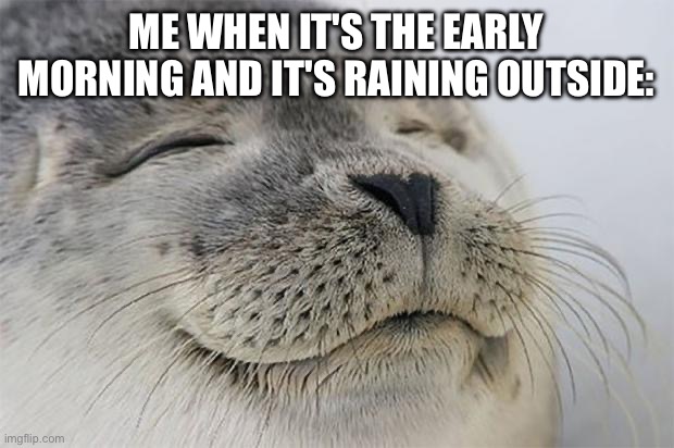 It's so nice | ME WHEN IT'S THE EARLY MORNING AND IT'S RAINING OUTSIDE: | image tagged in memes,satisfied seal,rain,raining,satisfying | made w/ Imgflip meme maker