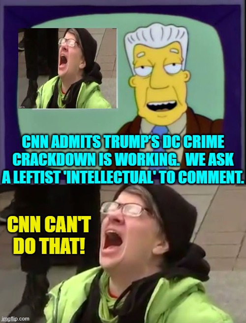 It sucks when your own bought and paid for media outlets turn on you, eh leftists? | CNN ADMITS TRUMP’S DC CRIME CRACKDOWN IS WORKING.  WE ASK A LEFTIST 'INTELLECTUAL' TO COMMENT. CNN CAN'T DO THAT! | image tagged in i for one welcome our new overlords | made w/ Imgflip meme maker