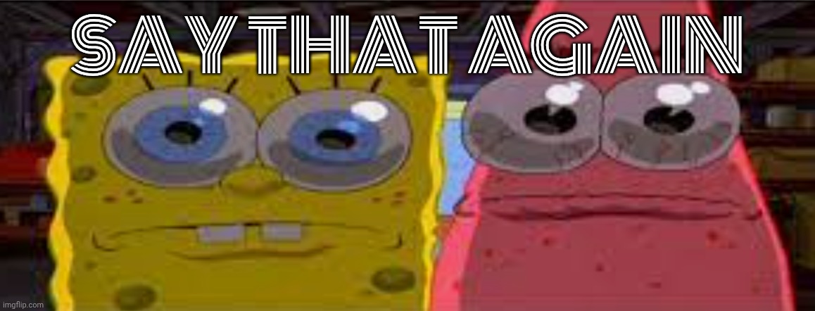 sobgih ans patbur | SAY THAT AGAIN | image tagged in sobgih ans patbur | made w/ Imgflip meme maker