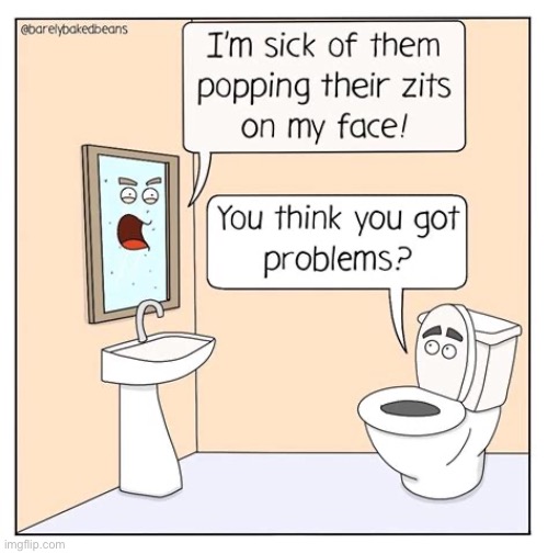 Barely Baked Beans | image tagged in comics,barely baked beans,toilet,mirror,problems | made w/ Imgflip meme maker