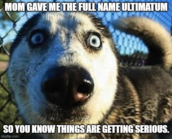 Scared dog | MOM GAVE ME THE FULL NAME ULTIMATUM SO YOU KNOW THINGS ARE GETTING SERIOUS. | image tagged in scared dog | made w/ Imgflip meme maker