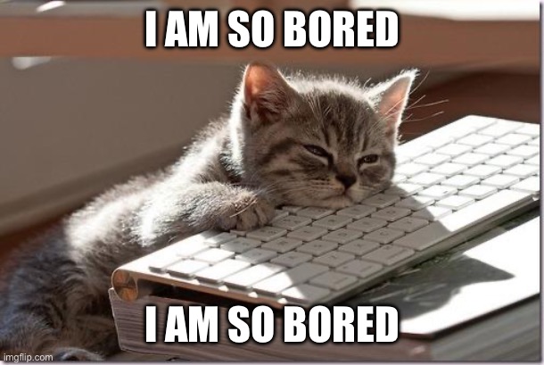 Bored Keyboard Cat | I AM SO BORED; I AM SO BORED | image tagged in bored keyboard cat | made w/ Imgflip meme maker