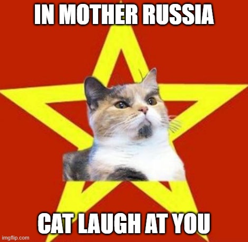 lenin cat | IN MOTHER RUSSIA CAT LAUGH AT YOU | image tagged in lenin cat | made w/ Imgflip meme maker