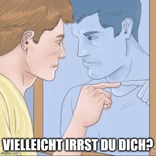 Pointing mirror guy | VIELLEICHT IRRST DU DICH? | image tagged in pointing mirror guy | made w/ Imgflip meme maker