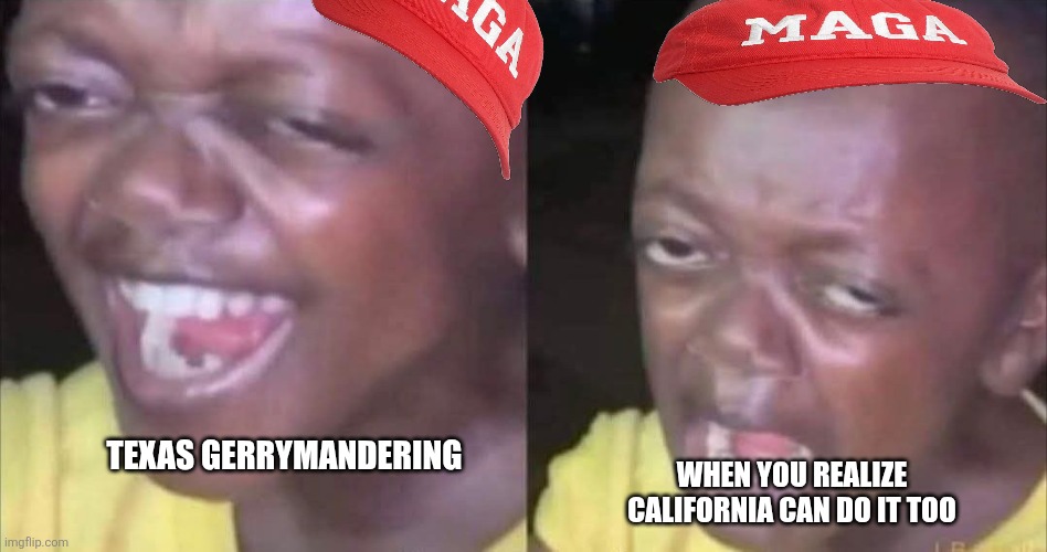 Gerrymandering | WHEN YOU REALIZE CALIFORNIA CAN DO IT TOO; TEXAS GERRYMANDERING | image tagged in donald trump,trump,maga,conservatives,republican,trump supporter | made w/ Imgflip meme maker