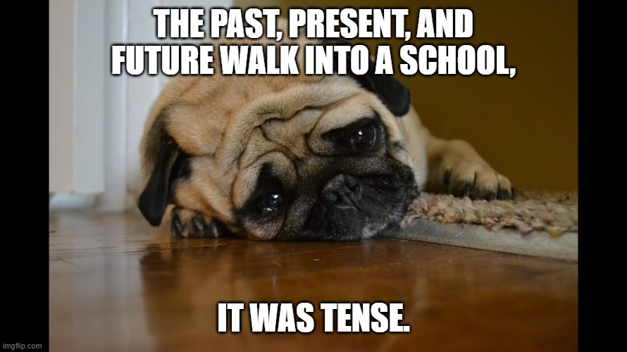 Dog with grammar joke | THE PAST, PRESENT, AND FUTURE WALK INTO A SCHOOL, IT WAS TENSE. | image tagged in verbs,grammar,english teachers | made w/ Imgflip meme maker