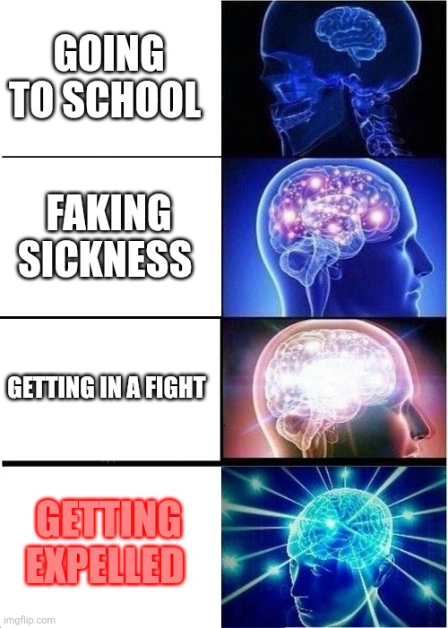Expanding Brain | GOING TO SCHOOL; FAKING SICKNESS; GETTING IN A FIGHT; GETTING EXPELLED | image tagged in memes,expanding brain | made w/ Imgflip meme maker