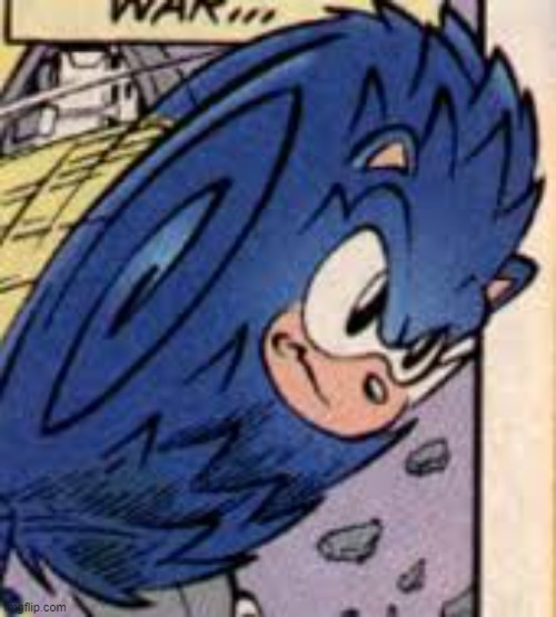 Sonic spin | image tagged in sonic spin | made w/ Imgflip meme maker