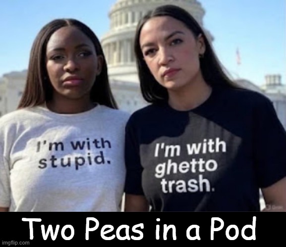 The best that Democrats have to offer....SMH! | Two Peas in a Pod | image tagged in jasmine crockett,aoc,choices,bad choices,dumb and dumber,democrats | made w/ Imgflip meme maker