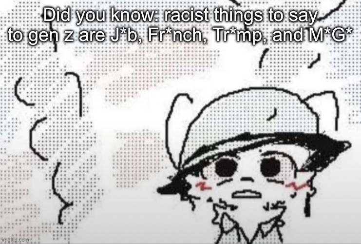 Boykisser thousand yard stare | Did you know: racist things to say to gen z are J*b, Fr*nch, Tr*mp, and M*G* | image tagged in boykisser thousand yard stare | made w/ Imgflip meme maker