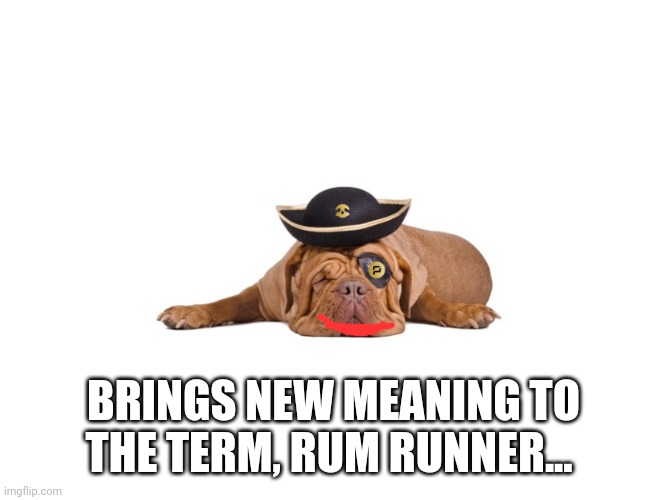 pirate dog | BRINGS NEW MEANING TO THE TERM, RUM RUNNER... | image tagged in pirate dog | made w/ Imgflip meme maker