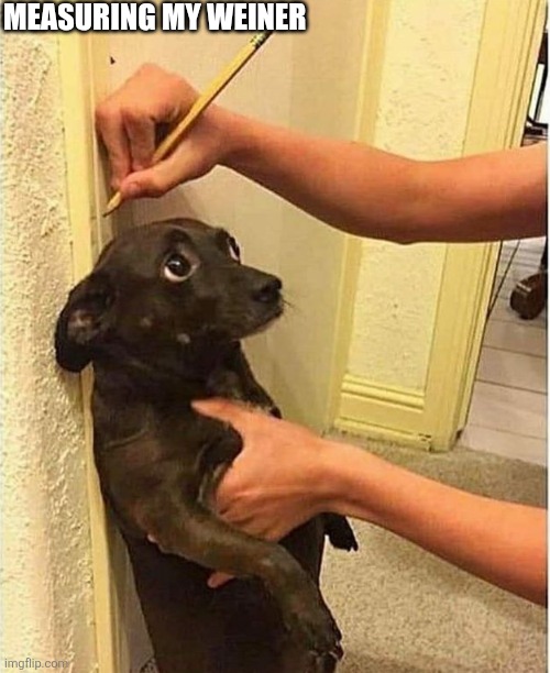 Measuring My Weiner | MEASURING MY WEINER | image tagged in chrisjoines1 | made w/ Imgflip meme maker