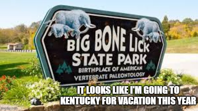 Big Bone Lick State Park sounds like a good place for a vacation.   - funny - | IT LOOKS LIKE I'M GOING TO KENTUCKY FOR VACATION THIS YEAR | image tagged in funny,vacation,bone,humor,kentucky,play on words | made w/ Imgflip meme maker