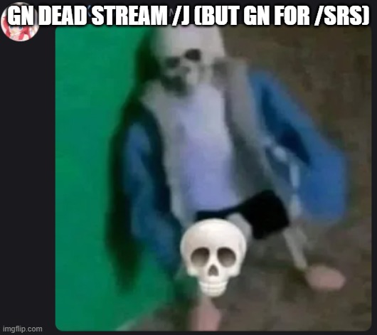 Sans skull | GN DEAD STREAM /J (BUT GN FOR /SRS) | image tagged in sans skull | made w/ Imgflip meme maker