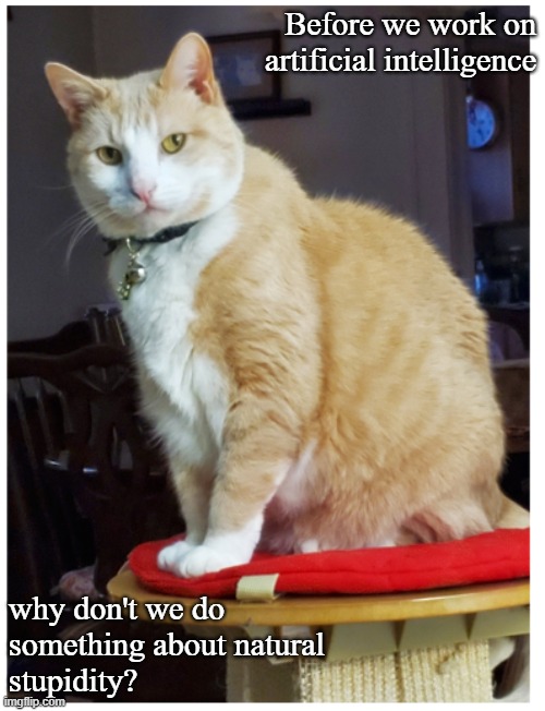 Artificial intelligence | Before we work on artificial intelligence; why don't we do something about natural stupidity? | image tagged in animals | made w/ Imgflip meme maker