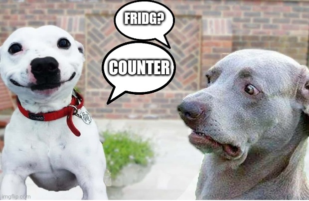 COUNTER FRIDG? | made w/ Imgflip meme maker