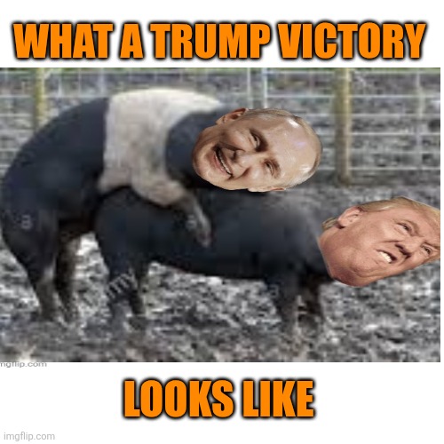 Blank Transparent Square Meme | WHAT A TRUMP VICTORY LOOKS LIKE | image tagged in memes,blank transparent square | made w/ Imgflip meme maker