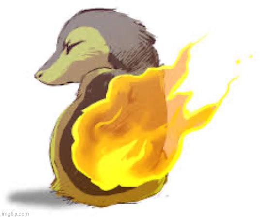 Realistic cyndaquill | image tagged in realistic cyndaquill | made w/ Imgflip meme maker