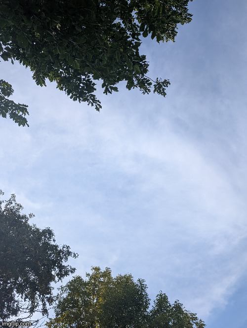 cool sky and tree | image tagged in skytree | made w/ Imgflip meme maker