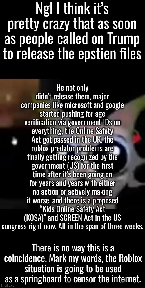 Call me a schizo, but it’s gonna happen. | Ngl I think it’s pretty crazy that as soon as people called on Trump to release the epstien files; He not only didn’t release them, major companies like microsoft and google started pushing for age verification via government IDs on everything, the Online Safety Act got passed in the UK, the roblox predator problems are finally getting recognized by the government (US) for the first time after it’s been going on for years and years with either no action or actively making it worse, and there is a proposed “Kids Online Safety Act (KOSA)” and SCREEN Act in the US congress right now. All in the span of three weeks. There is no way this is a coincidence. Mark my words, the Roblox situation is going to be used as a springboard to censor the internet. | image tagged in scared car | made w/ Imgflip meme maker