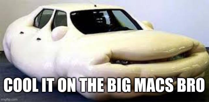 fat car | COOL IT ON THE BIG MACS BRO | image tagged in fat,car,big chungus,fatcar | made w/ Imgflip meme maker