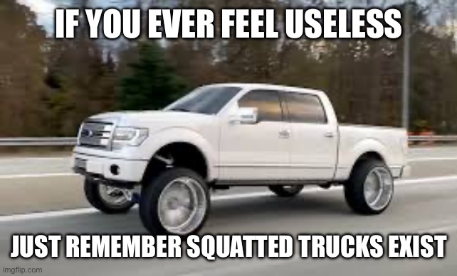 Just remember that squatted trucks exist | IF YOU EVER FEEL USELESS; JUST REMEMBER SQUATTED TRUCKS EXIST | image tagged in if you ever feel useless remember this,useless,trucks,truck,memes | made w/ Imgflip meme maker