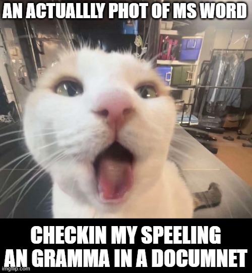 MS Word | AN ACTUALLLY PHOT OF MS WORD; CHECKIN MY SPEELING AN GRAMMA IN A DOCUMNET | image tagged in bad grammar and spelling memes,microsoft,ms word | made w/ Imgflip meme maker