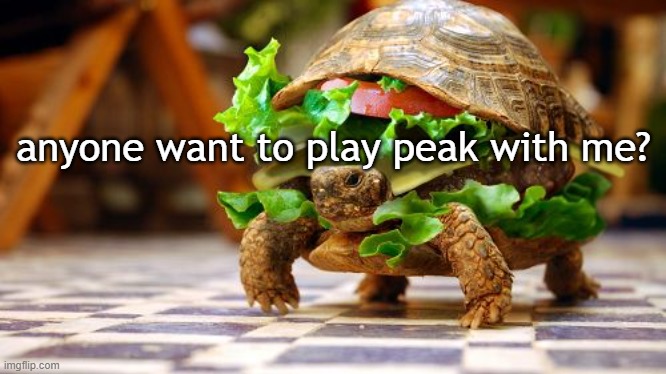 Tortoise sandwich | anyone want to play peak with me? | image tagged in tortoise sandwich | made w/ Imgflip meme maker