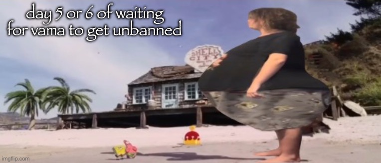 wide load | day 5 or 6 of waiting for vama to get unbanned | image tagged in wide load | made w/ Imgflip meme maker