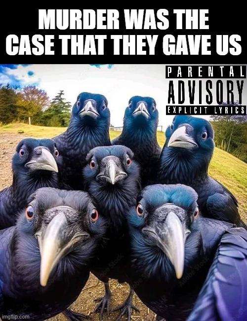 Crow Album | MURDER WAS THE CASE THAT THEY GAVE US | image tagged in funny,memes | made w/ Imgflip meme maker