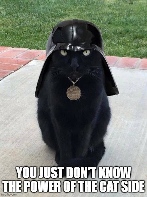 Darth Kitty | YOU JUST DON'T KNOW THE POWER OF THE CAT SIDE | image tagged in cats | made w/ Imgflip meme maker