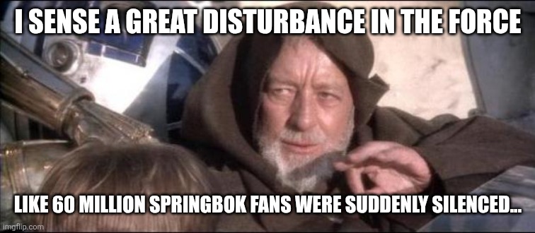Star Wars Obi Wan Kenobi These aren't the droids you're looking  | I SENSE A GREAT DISTURBANCE IN THE FORCE; LIKE 60 MILLION SPRINGBOK FANS WERE SUDDENLY SILENCED... | image tagged in star wars obi wan kenobi these aren't the droids you're looking | made w/ Imgflip meme maker