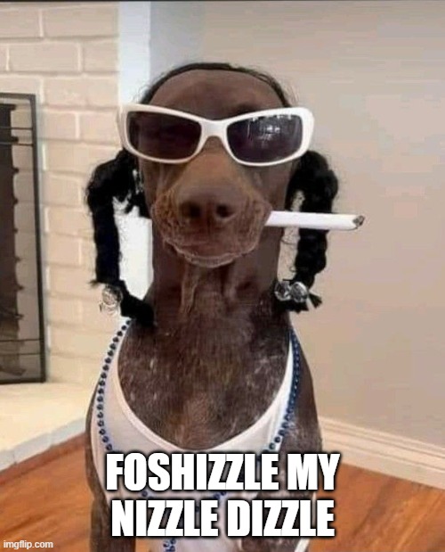 Snoop Dogg | FOSHIZZLE MY NIZZLE DIZZLE | image tagged in dogs | made w/ Imgflip meme maker