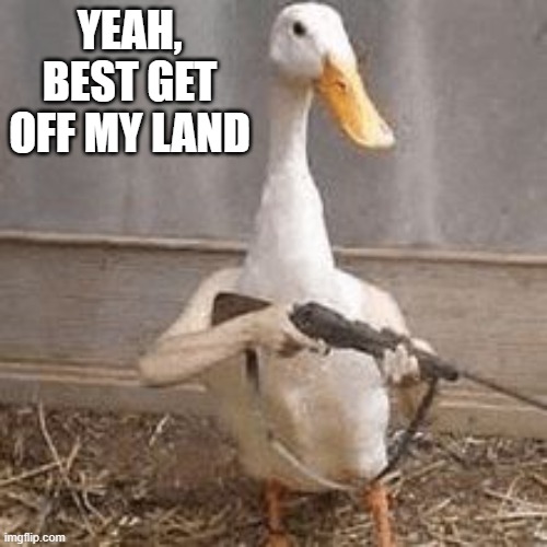 Gun Duck | YEAH, BEST GET OFF MY LAND | image tagged in dogs | made w/ Imgflip meme maker