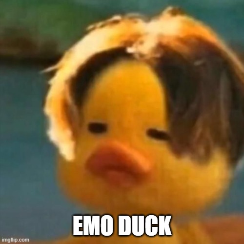 Emo Duck | EMO DUCK | image tagged in ducks | made w/ Imgflip meme maker