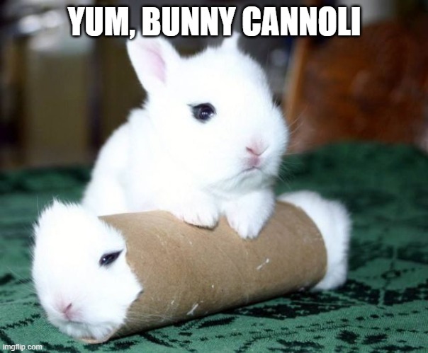 Cannoli | YUM, BUNNY CANNOLI | image tagged in bunnies | made w/ Imgflip meme maker
