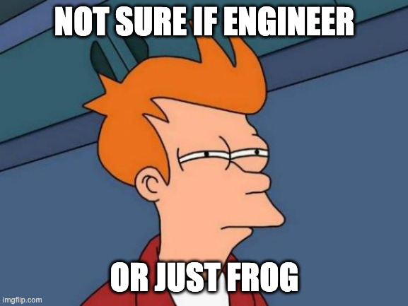 Futurama Fry Meme | NOT SURE IF ENGINEER; OR JUST FROG | image tagged in memes,futurama fry | made w/ Imgflip meme maker