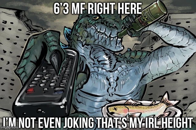 Zilla TV Remote | 6’3 MF RIGHT HERE; I’M NOT EVEN JOKING THAT’S MY IRL HEIGHT | image tagged in zilla tv remote | made w/ Imgflip meme maker
