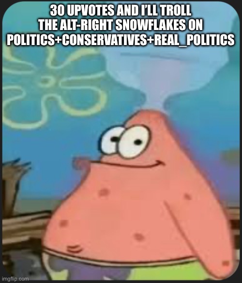 Patrick Star ‘Are We Deadass?’ | 30 UPVOTES AND I’LL TROLL THE ALT-RIGHT SNOWFLAKES ON POLITICS+CONSERVATIVES+REAL_POLITICS | image tagged in patrick star are we deadass | made w/ Imgflip meme maker